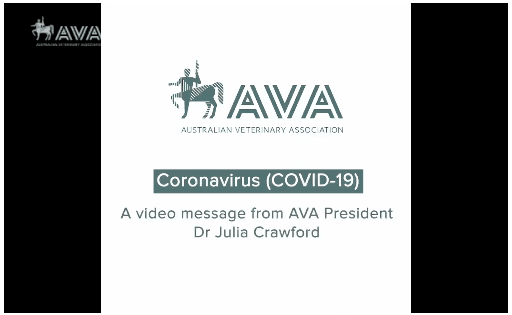 Companion Animals and COVID-19 Companion Animals and COVID-19